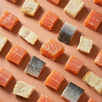 Freeze-Dried Salmon