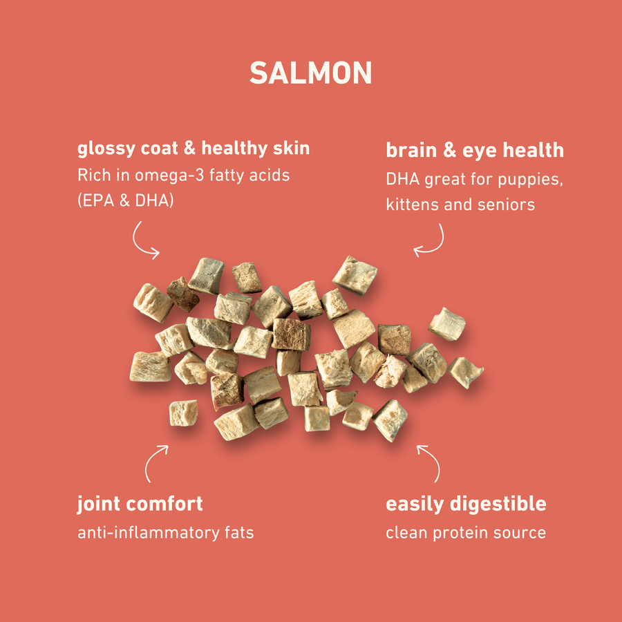 Freeze-Dried Salmon
