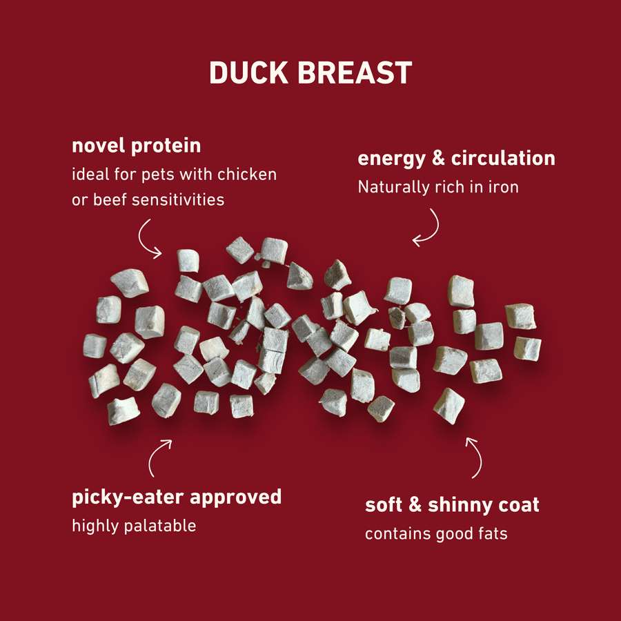 Freeze-Dried Duck Breast
