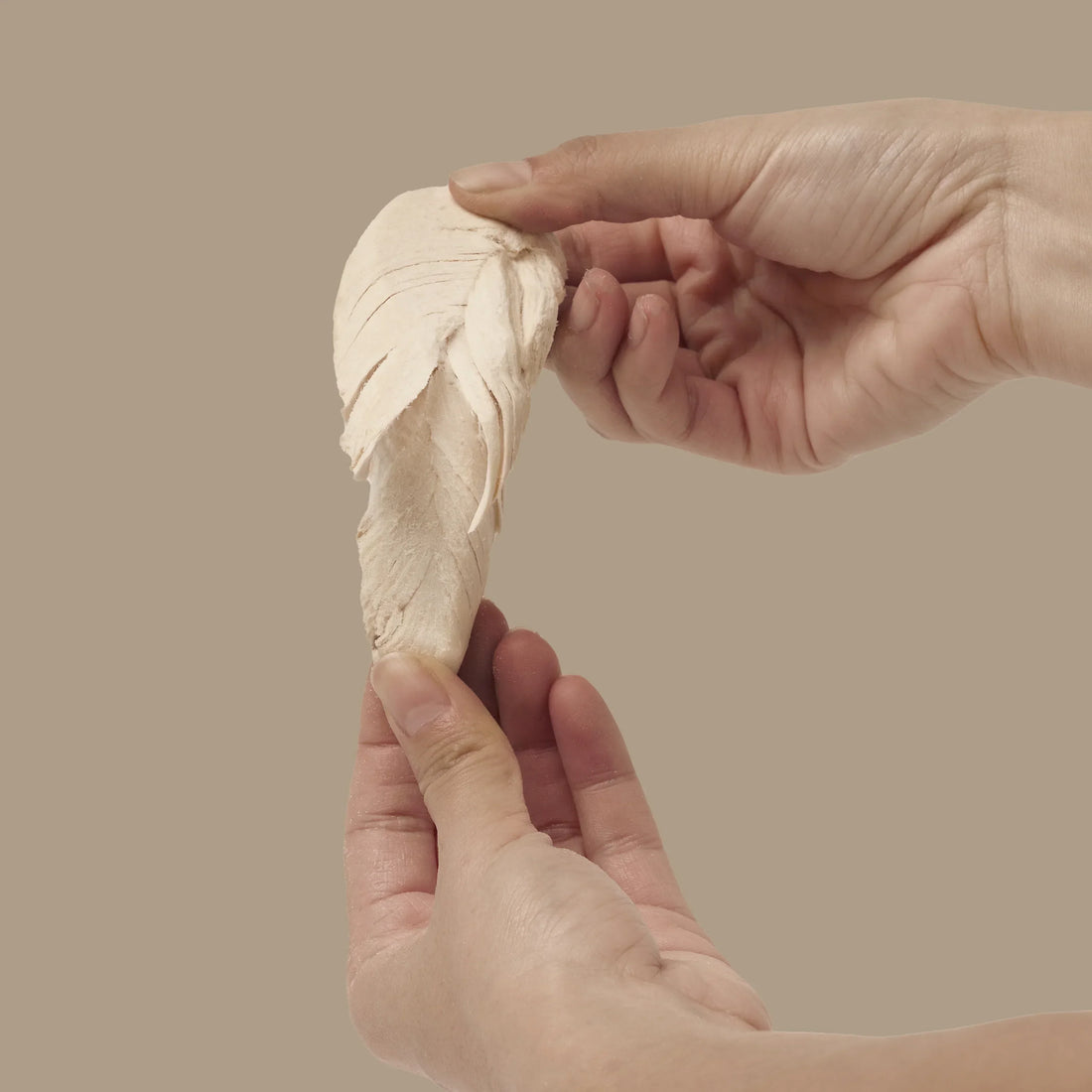 Freeze-Dried Chicken Breast