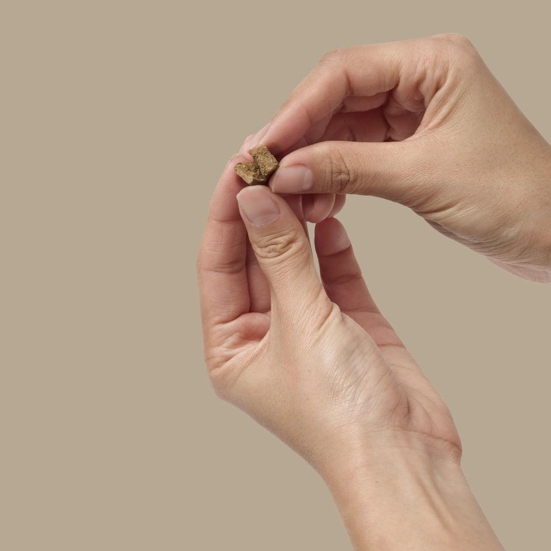 Freeze-Dried Beef Liver