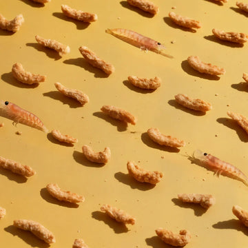 Freeze-Dried Antarctic Krill